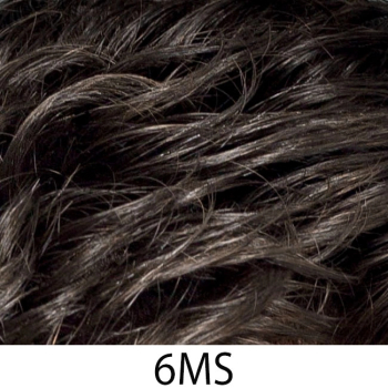 6MS