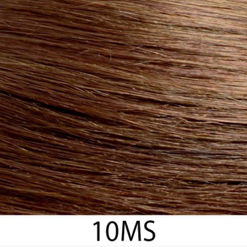 10MS