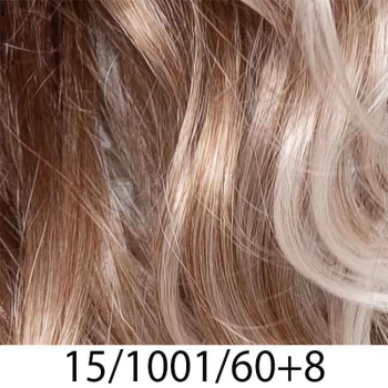 15/1001/60+8