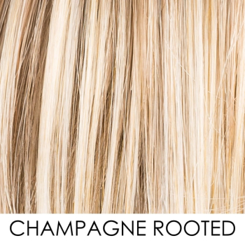 champagne rooted