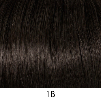 1b