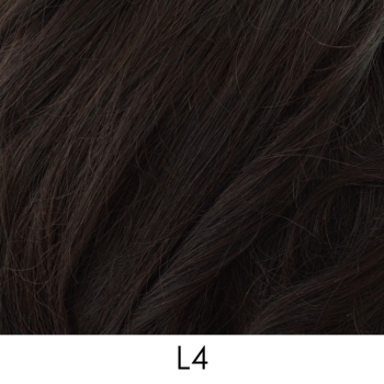 L4