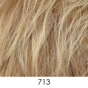 713