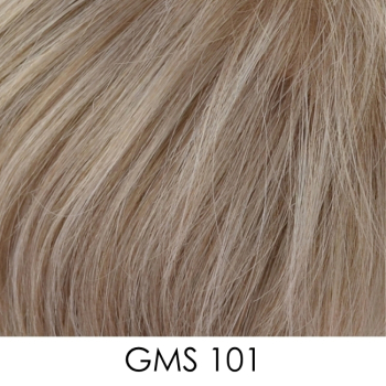 GMS101