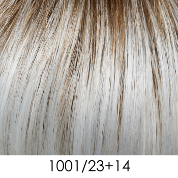 1001/23+14
