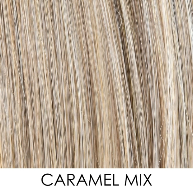 Volumateur cheveux Finesse Ellen Wille | Comptoir de Vie