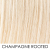 champagne rooted
