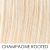 champagne rooted