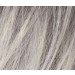 Perruque French - Changes - silverblonde rooted - Ellen Wille - Classe I - LPP1215636