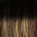 Perruque - Daily - Grande Taille - Hair Power - bernstein rooted - Ellen Wille