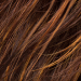 Perruque - Daily - Grande Taille - Hair Power - hazelnut mix - Ellen Wille