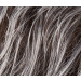 Perruque - Foxy - Petite Taille - Hair Power - Salt/Pepper Mix - Ellen Wille - Classe I - LPP1215636