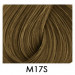 Perruque Homme Brad Confort - Hair Mania - M17S 