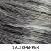 Perruque Como Mono Lace Short - Gisela Mayer - salt & pepper - Classe II - LPP 6211040